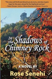 bokomslag In the Shadows of Chimney Rock