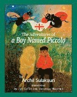 bokomslag The Adventures of a Boy Named Piccolo