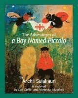 Archil Sulakauri - The Adventures of a Boy Named Piccolo, Häftad
