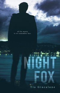 bokomslag Night Fox