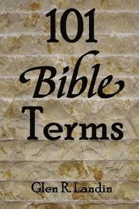 bokomslag 101 Bible Terms