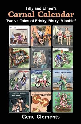 bokomslag Tilly and Elmer's Carnal Calendar: Twelve Tales of Frisky, Risky, Mischief