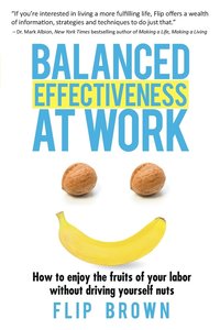 bokomslag Balanced Effectiveness at Work