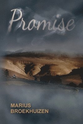 Promise 1