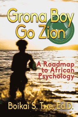 bokomslag Grona Boy Go Zion