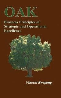 bokomslag Business Principles of Strategic & Operational Excellence