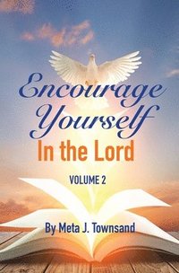 bokomslag Encourage Yourself in the Lord