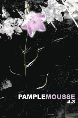 bokomslag Pamplemousse 4.3