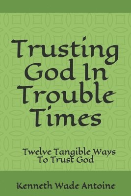 bokomslag Trusting God In Trouble Times