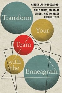 bokomslag Transform Your Team with the Enneagram
