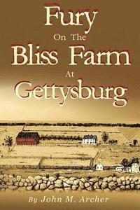 bokomslag Fury on the Bliss Farm at Gettysburg