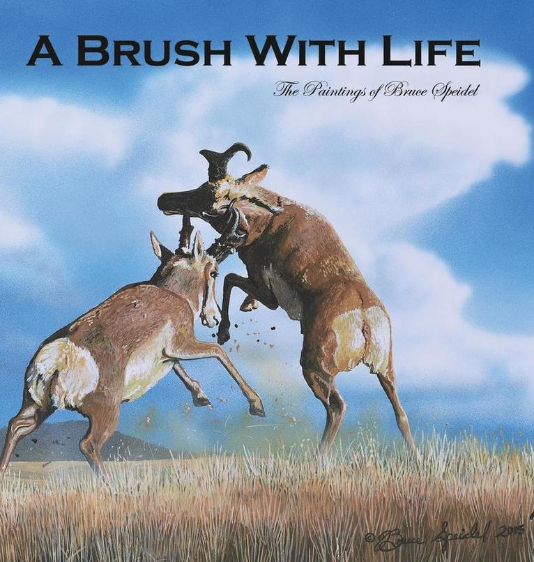 Brush With Life