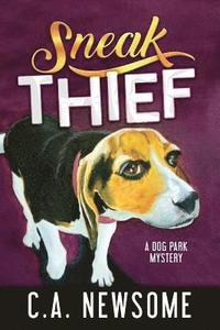 bokomslag Sneak Thief
