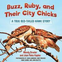 bokomslag Buzz, Ruby, and Their City Chicks: A True Red-Tailed Hawk Story