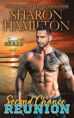 Sharon Hamilton - Second Chance Reunion: Meeting Ainsley, Häftad
