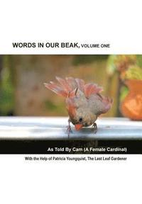 bokomslag Words In Our Beak, Volume One