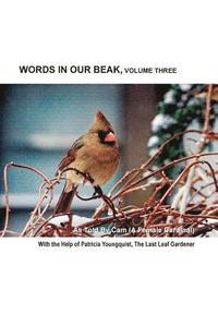 bokomslag Words In Our Beak, Volume Three