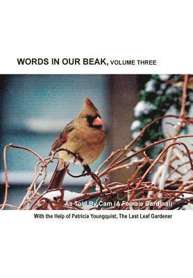 bokomslag Words In Our Beak, Volume Three