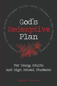 bokomslag God's Redemptive Plan