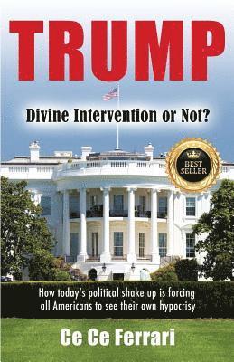 bokomslag Trump Divine Intervention or Not?: How today's political shakeup is forcing all Americans to see their own hypocrisy