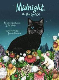 bokomslag Midnight, the One-Eyed Cat
