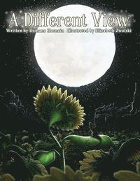 Romana Hasnain - A Different View: A Story of Friendship and Discovery, Häftad