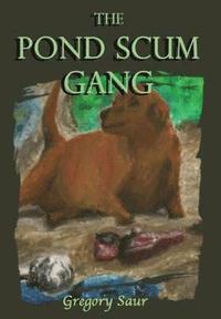 bokomslag The Pond Scum Gang