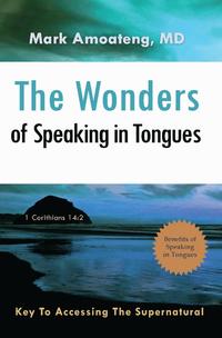 bokomslag The Wonders of Speaking in Tongues