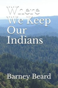 bokomslag Where We Keep Our Indians