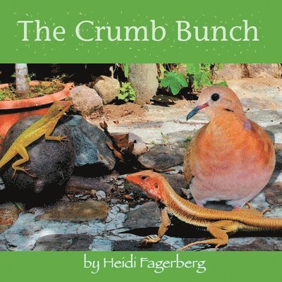 Heidi Fagerberg - Crumb Bunch, Häftad