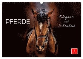 Seek To Grow: Investing for Growth-How to Become Financially Healthy, Wealthy and Wise