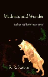 bokomslag Madness and Wonder: Book one of the Wonder series