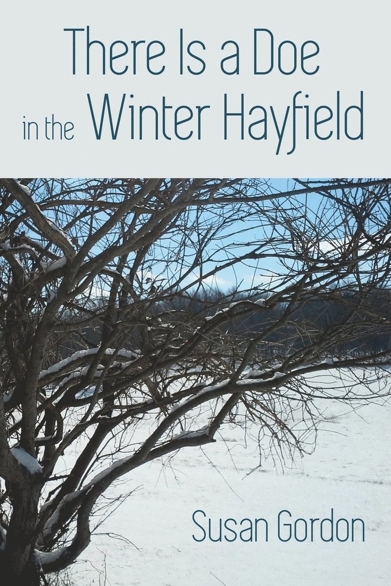 Susan Gordon, Lana Hechtman Ayers - There Is A Doe In The Winter Hayfield, Häftad