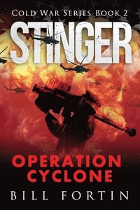 bokomslag Stinger Operation Cyclone