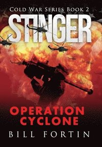 bokomslag Stinger Operation Cyclone