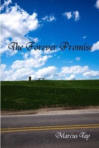 bokomslag The Forever Promise