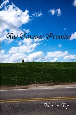 bokomslag The Forever Promise