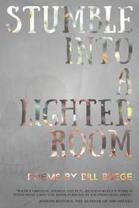 bokomslag Stumble Into a Lighted Room