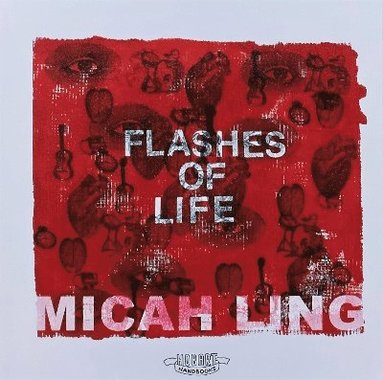 bokomslag Flashes Of Life