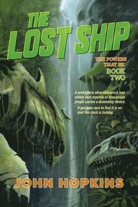 bokomslag The Lost Ship