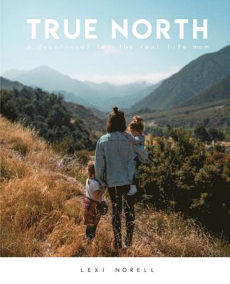 True North 1