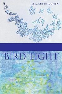 bokomslag Bird Light