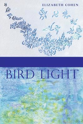 Bird Light 1