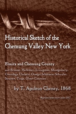 Historical Sketch of the Chemung Valley, New York 1