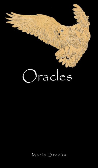 bokomslag Oracles