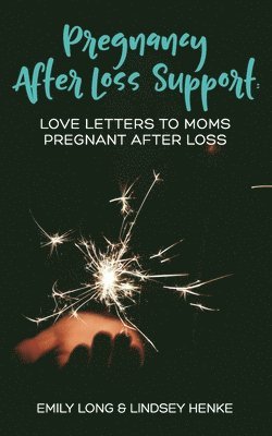 bokomslag Pregnancy After Loss Support