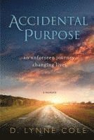bokomslag Accidental Purpose: An Unforeseen Journey Changing Lives