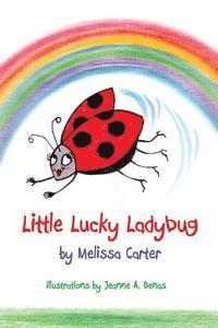 bokomslag Little Lucky Ladybug