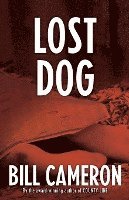 bokomslag Lost Dog