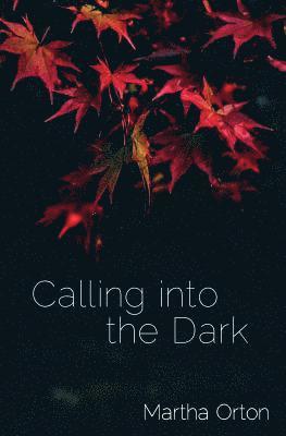 Calling into the Dark 1